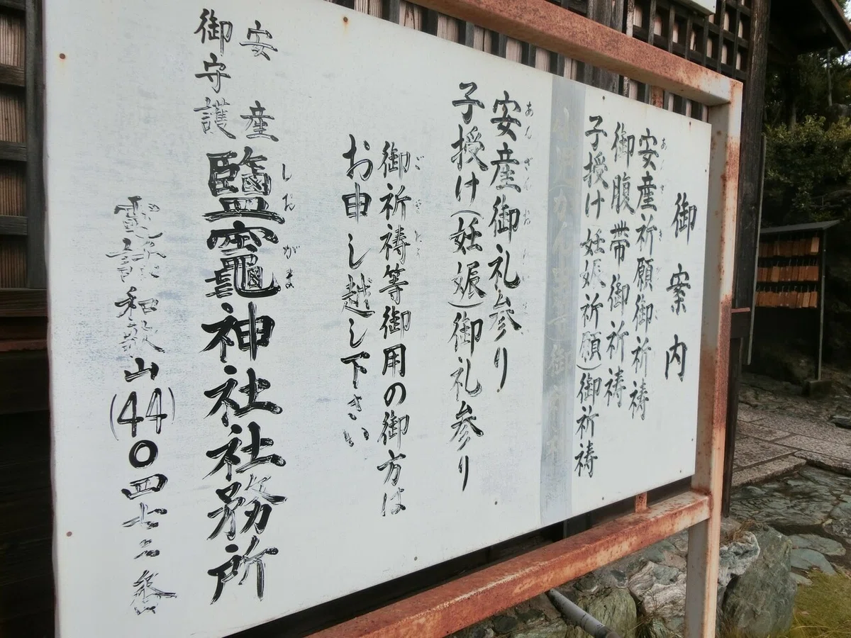 画像6