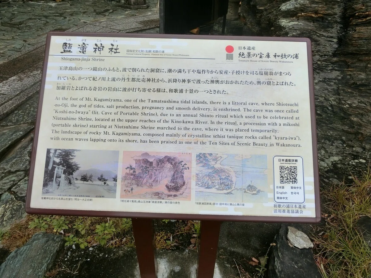 画像9