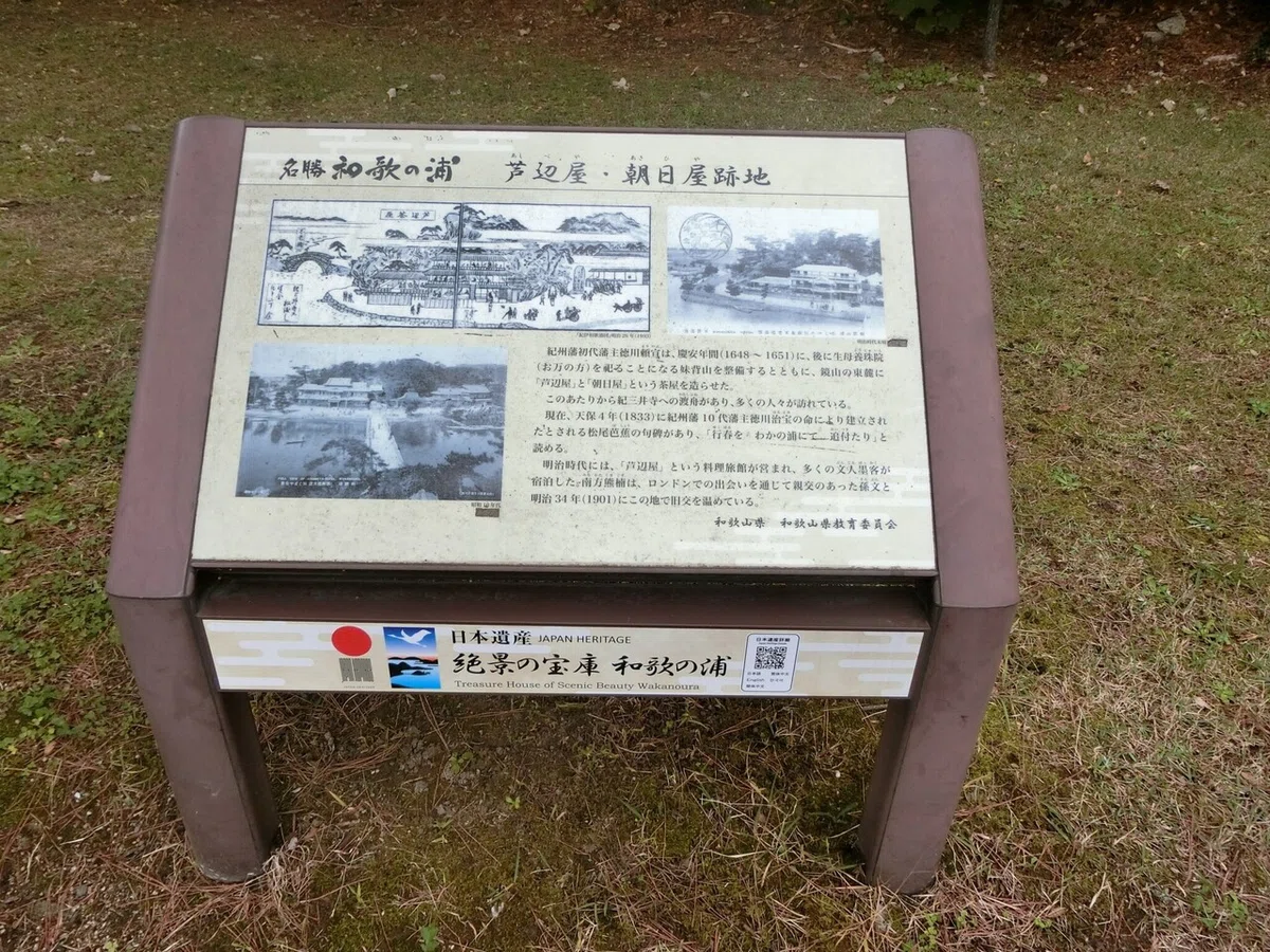 画像12