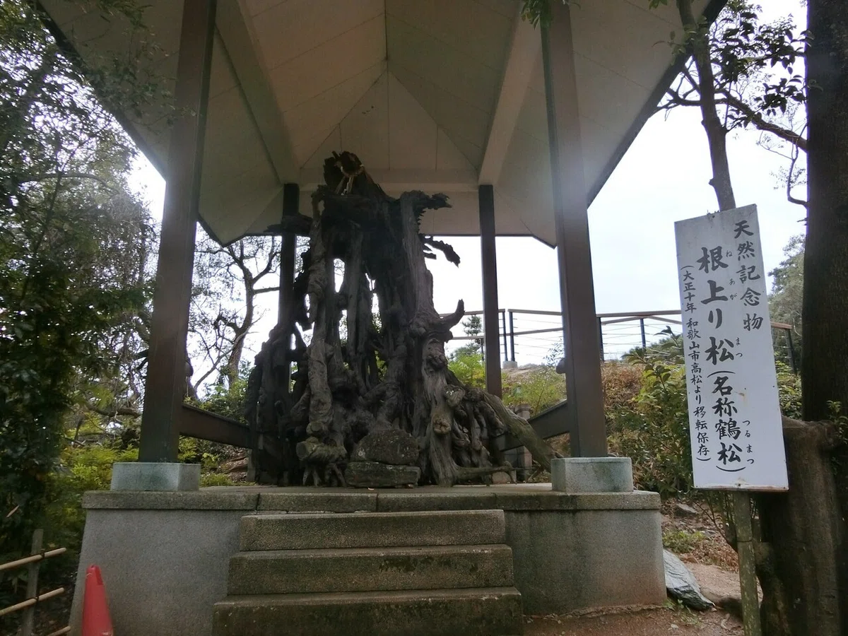画像14