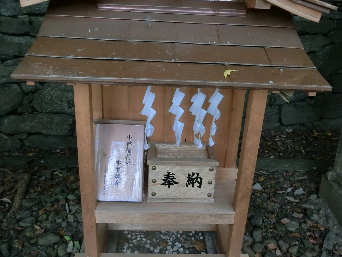 画像5