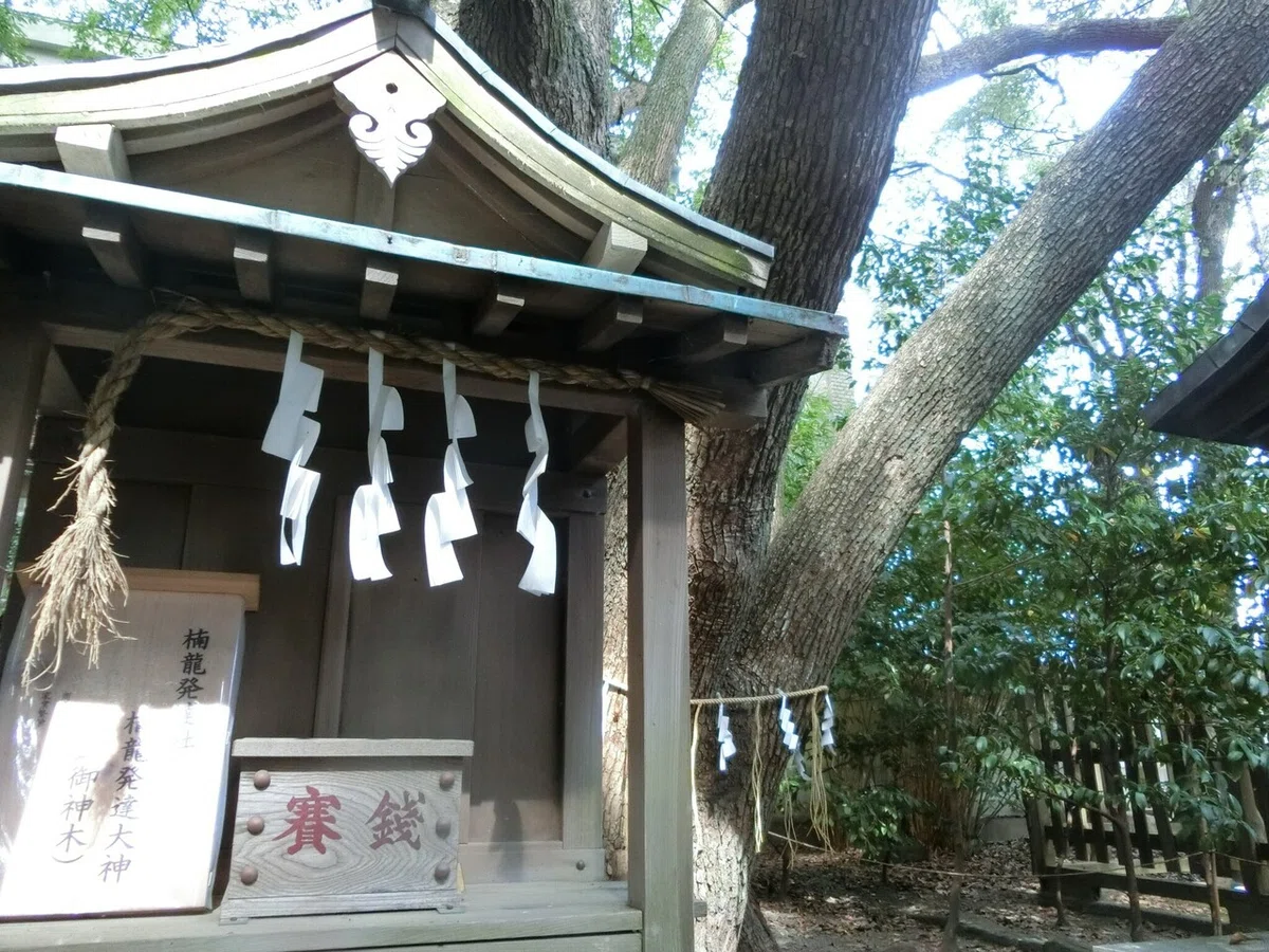 画像11