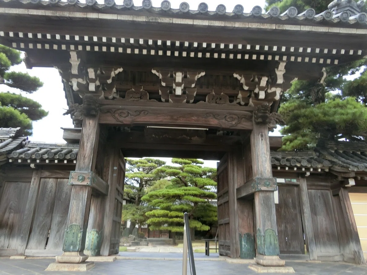 画像15