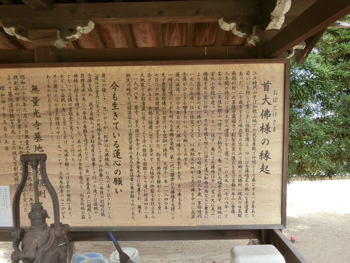 画像17