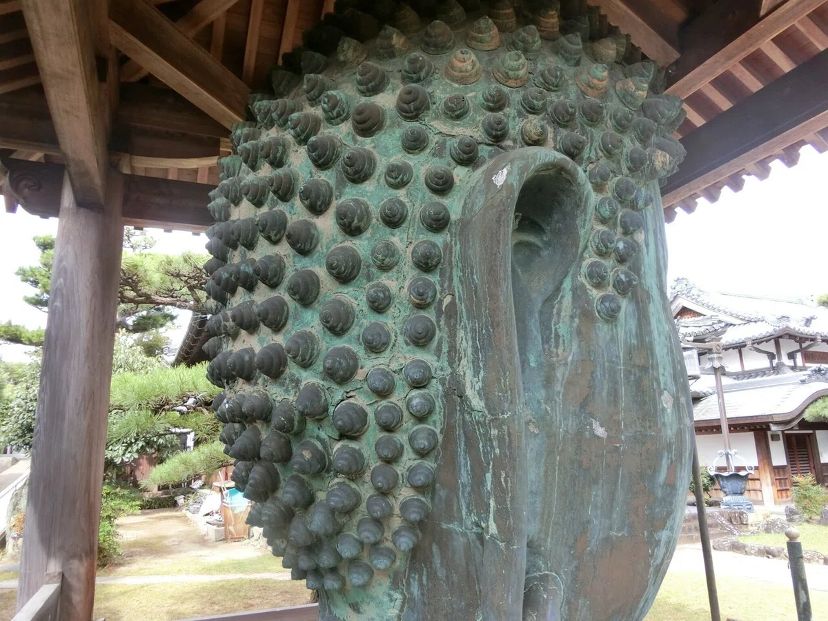 画像19