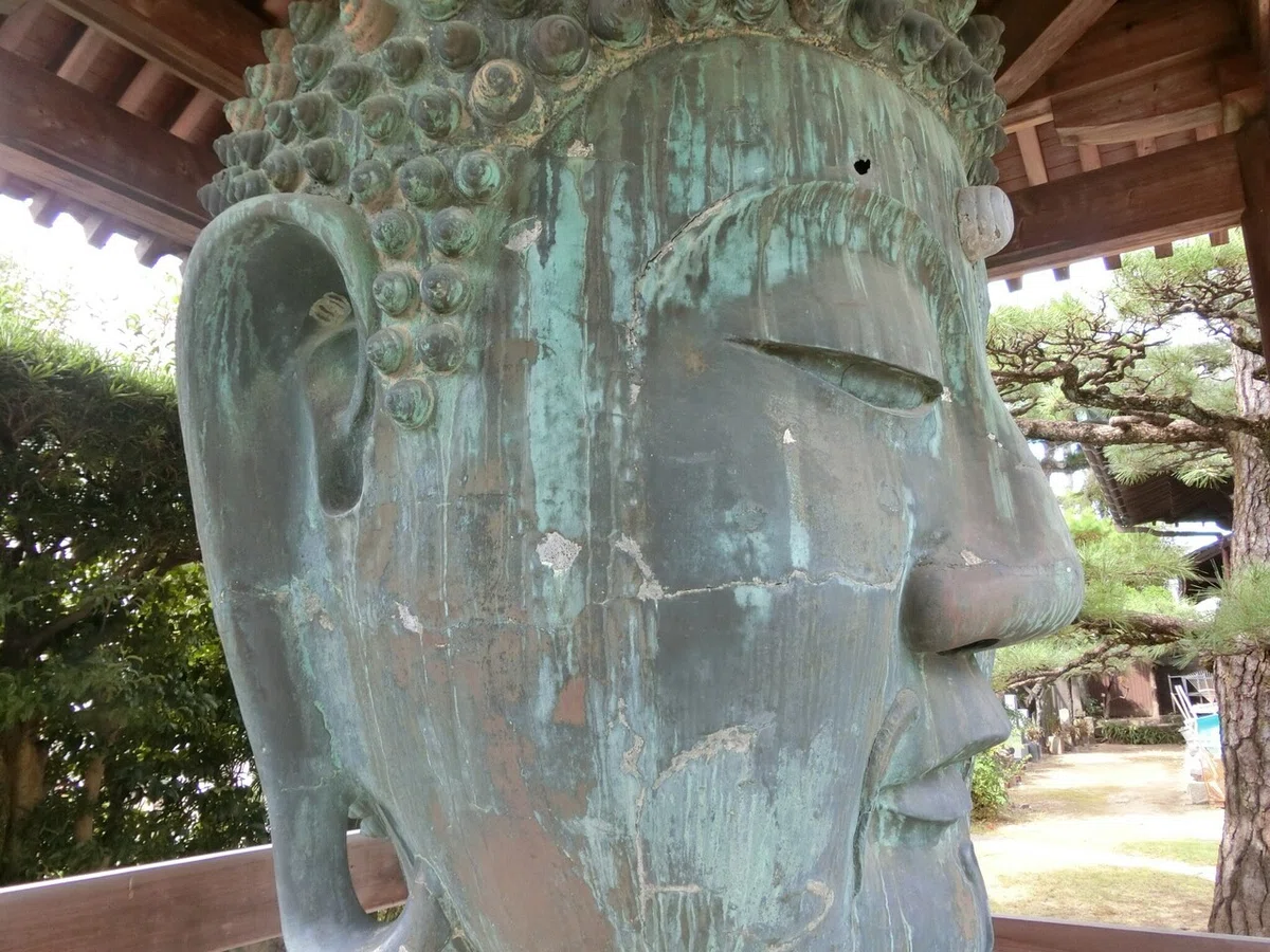 画像20