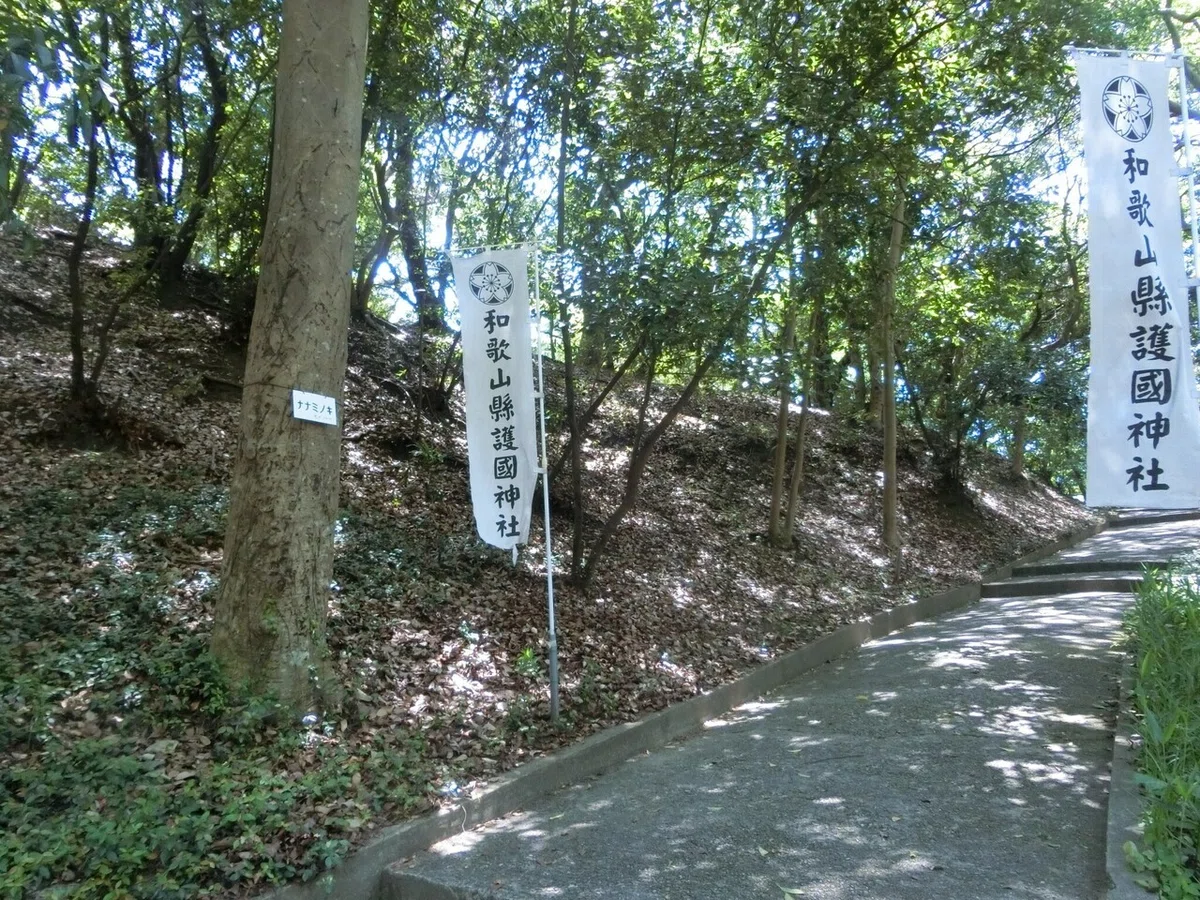 画像22