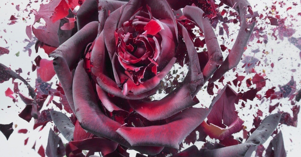 脱養分のススメ｜INO|井上