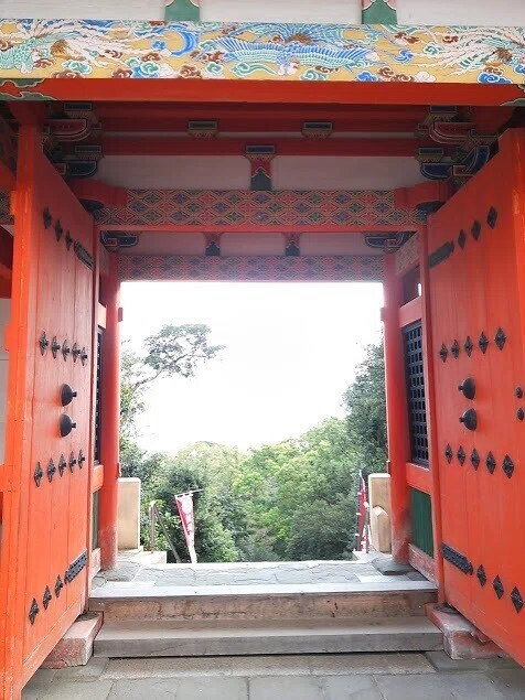 画像4