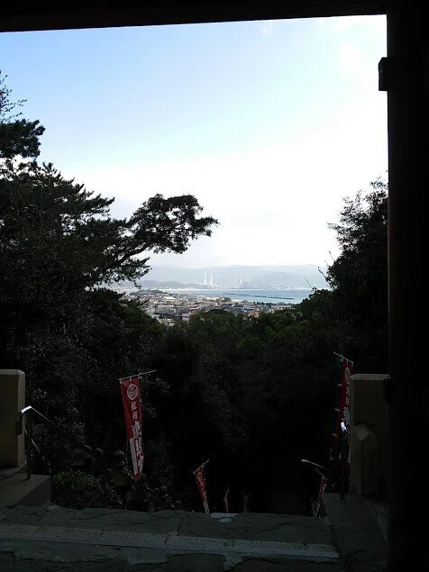 画像5