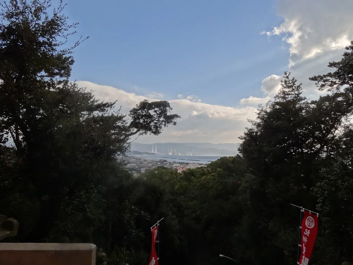 画像7