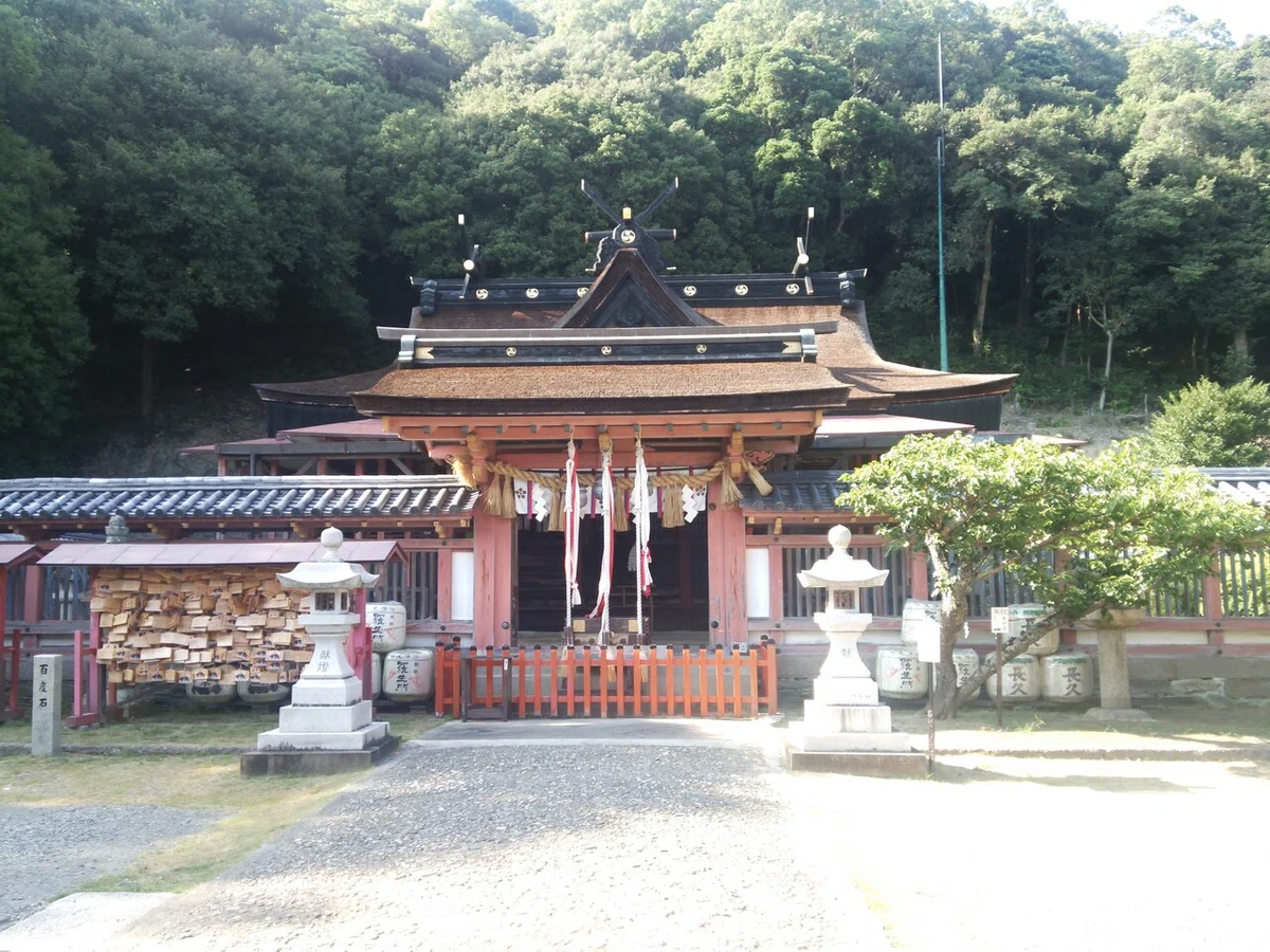 画像5