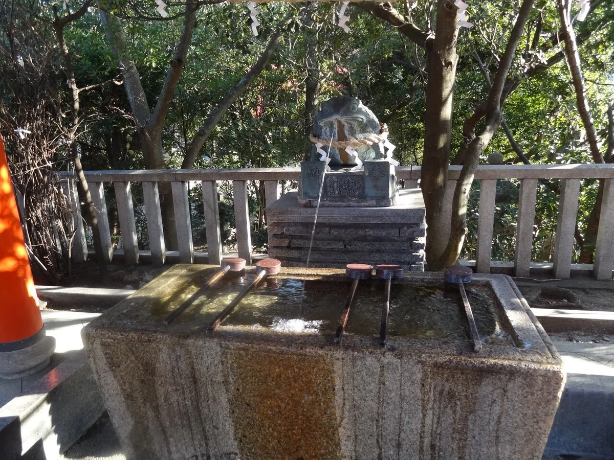 画像9