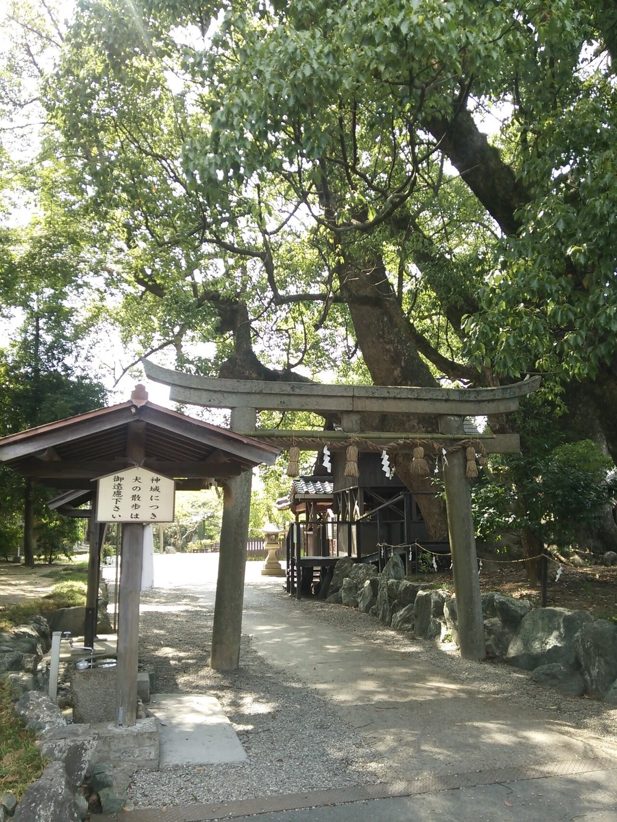 画像1