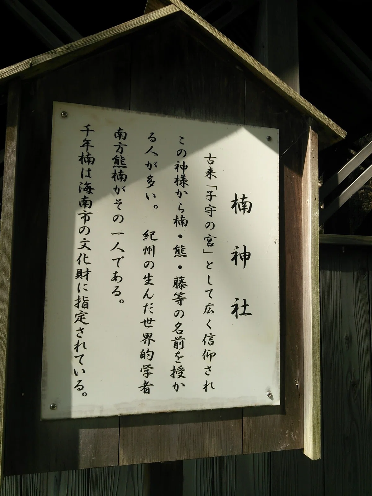 画像6