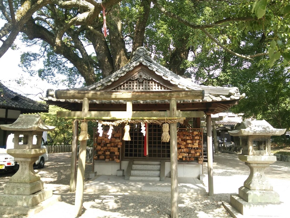 画像7