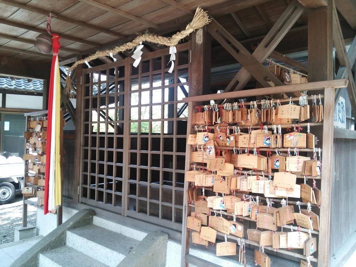 画像8
