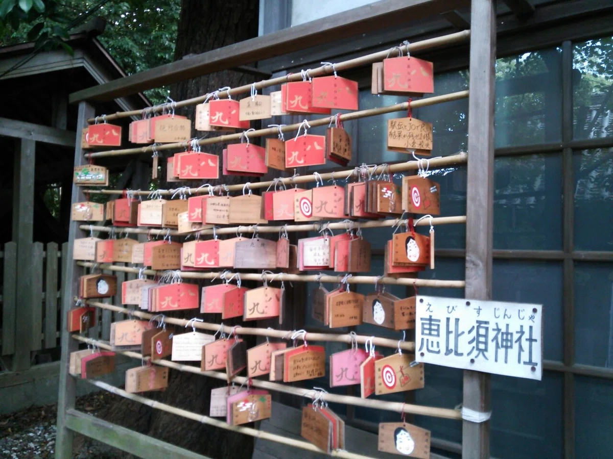 画像15