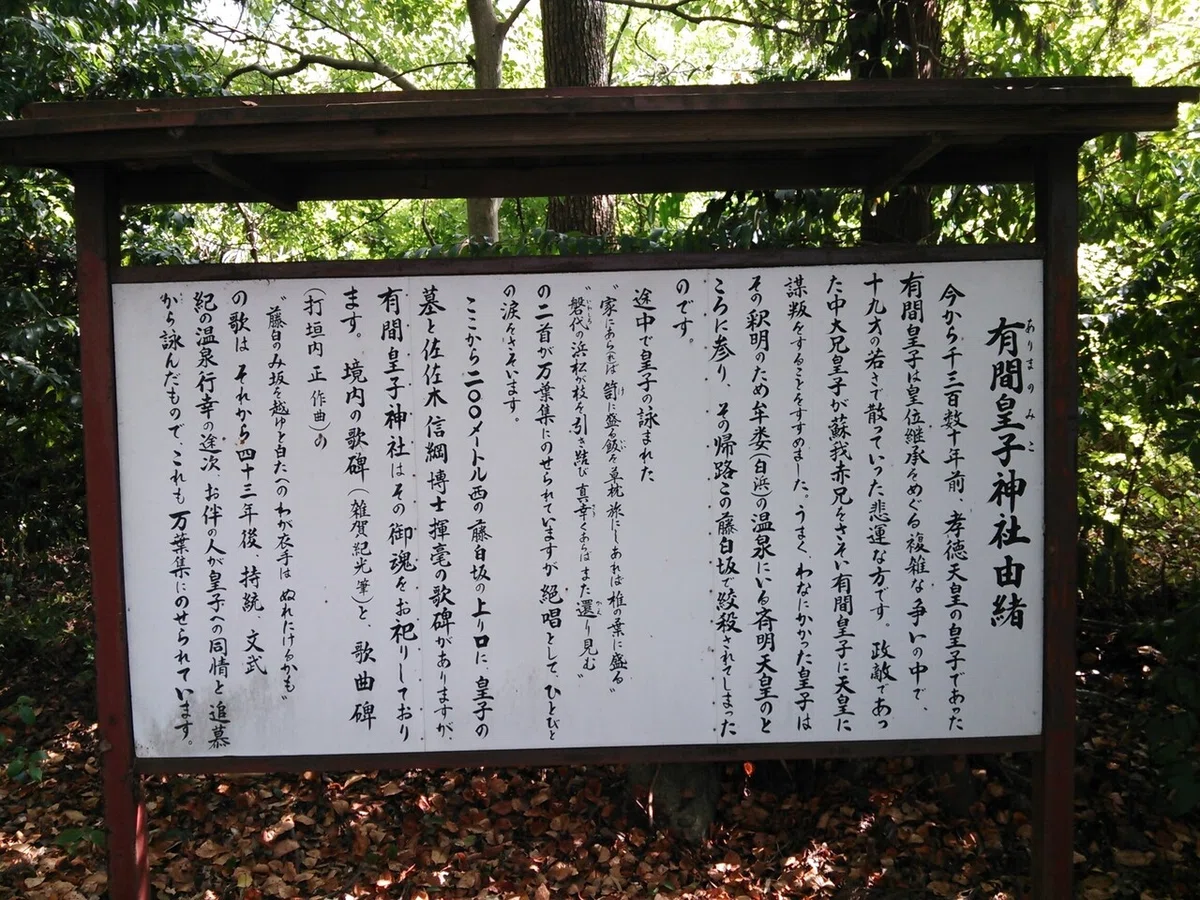 画像19