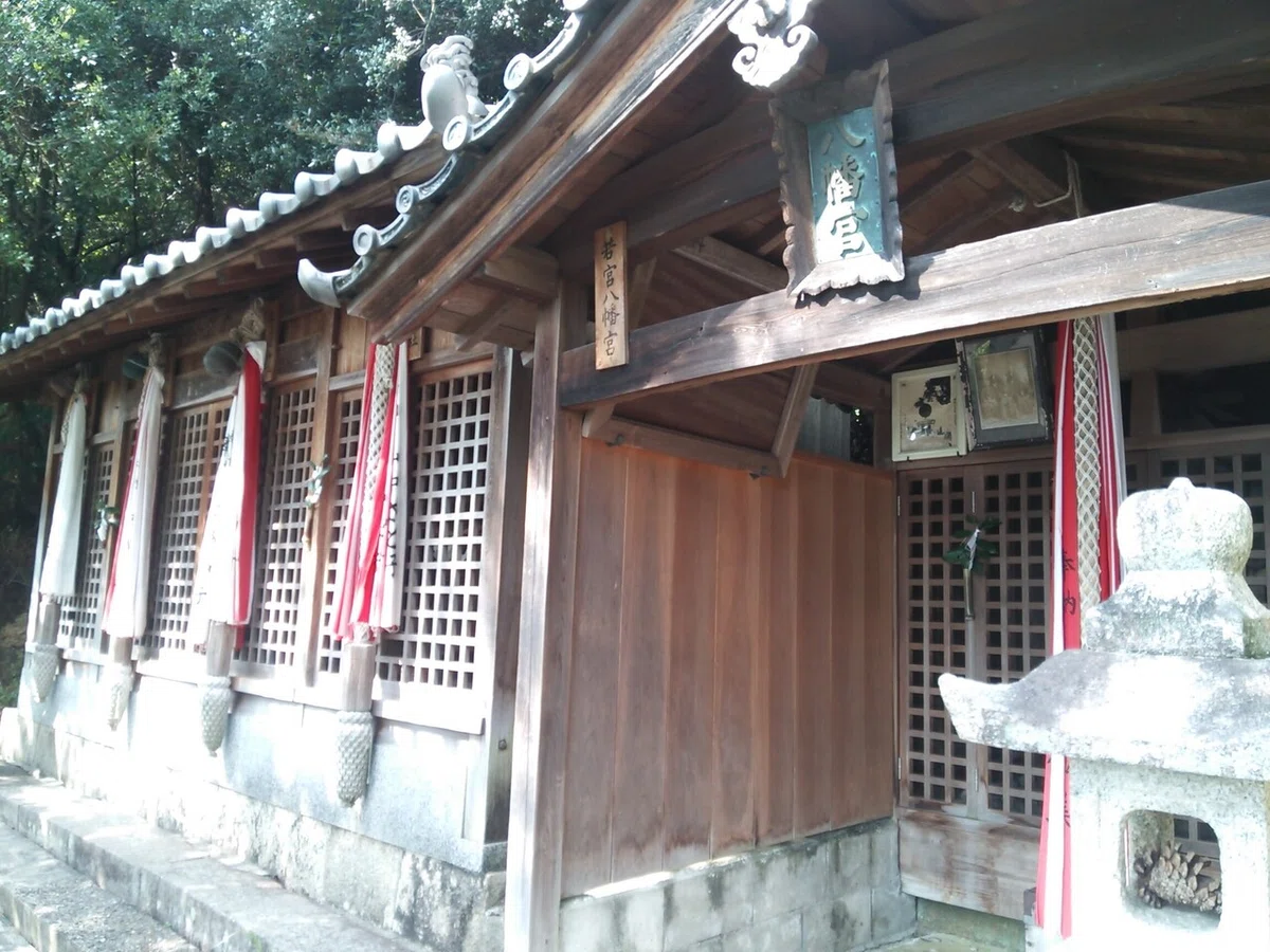 画像5
