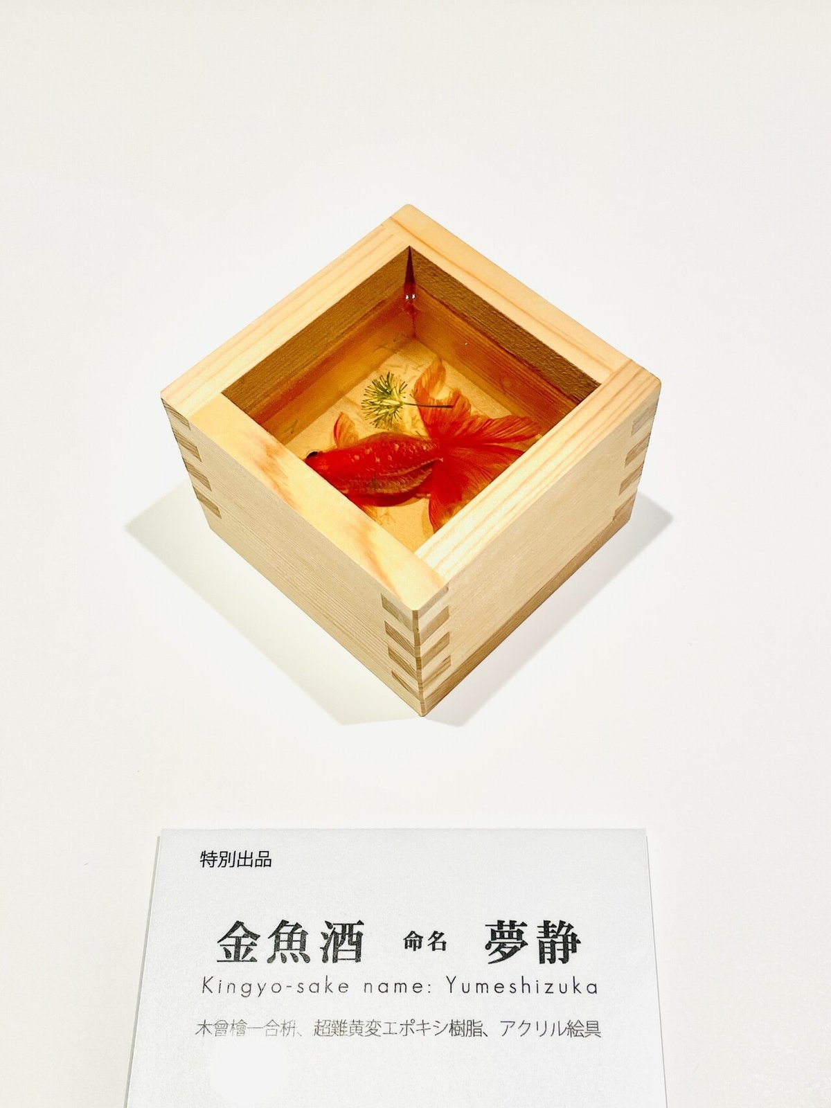 金魚絵図 四角鉢 金魚絵師 深堀隆介展「金魚鉢、地球鉢。」が12月より上野の森