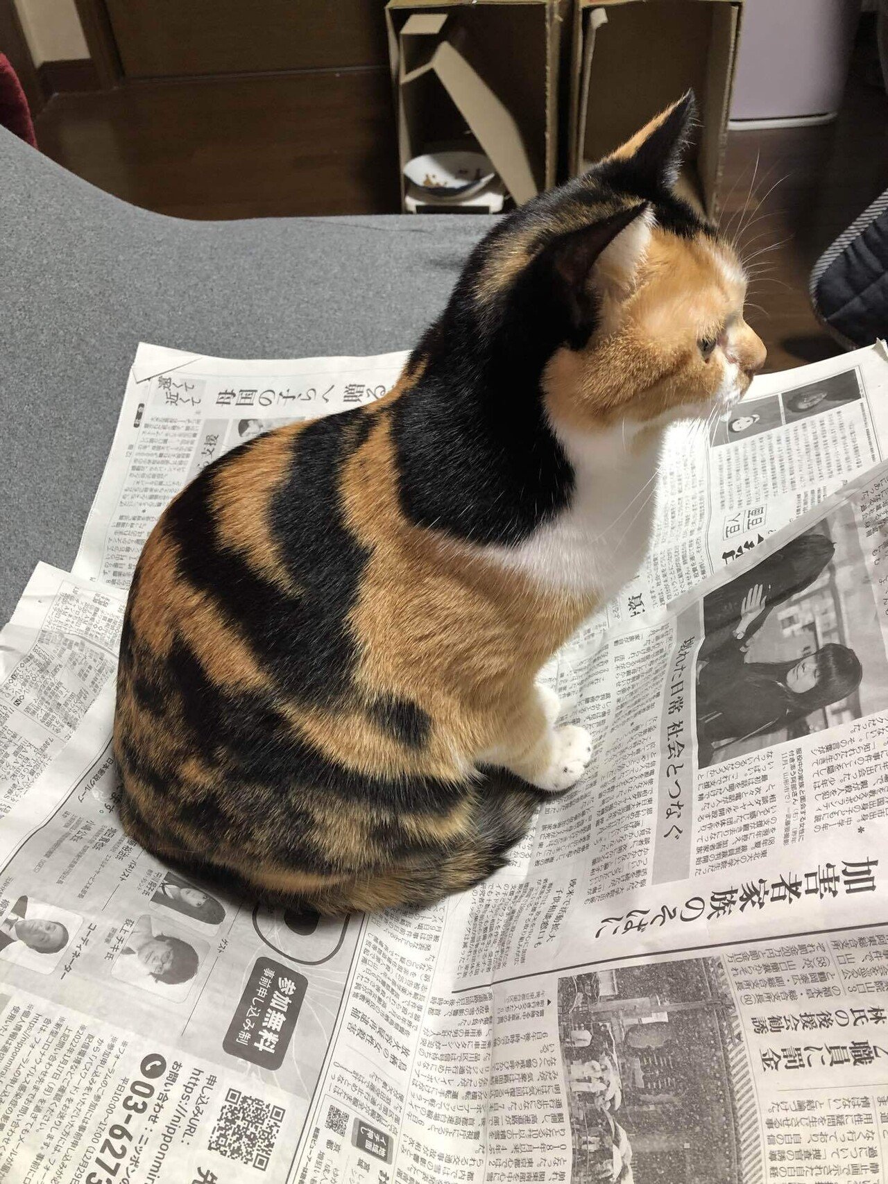 Neko様専用です