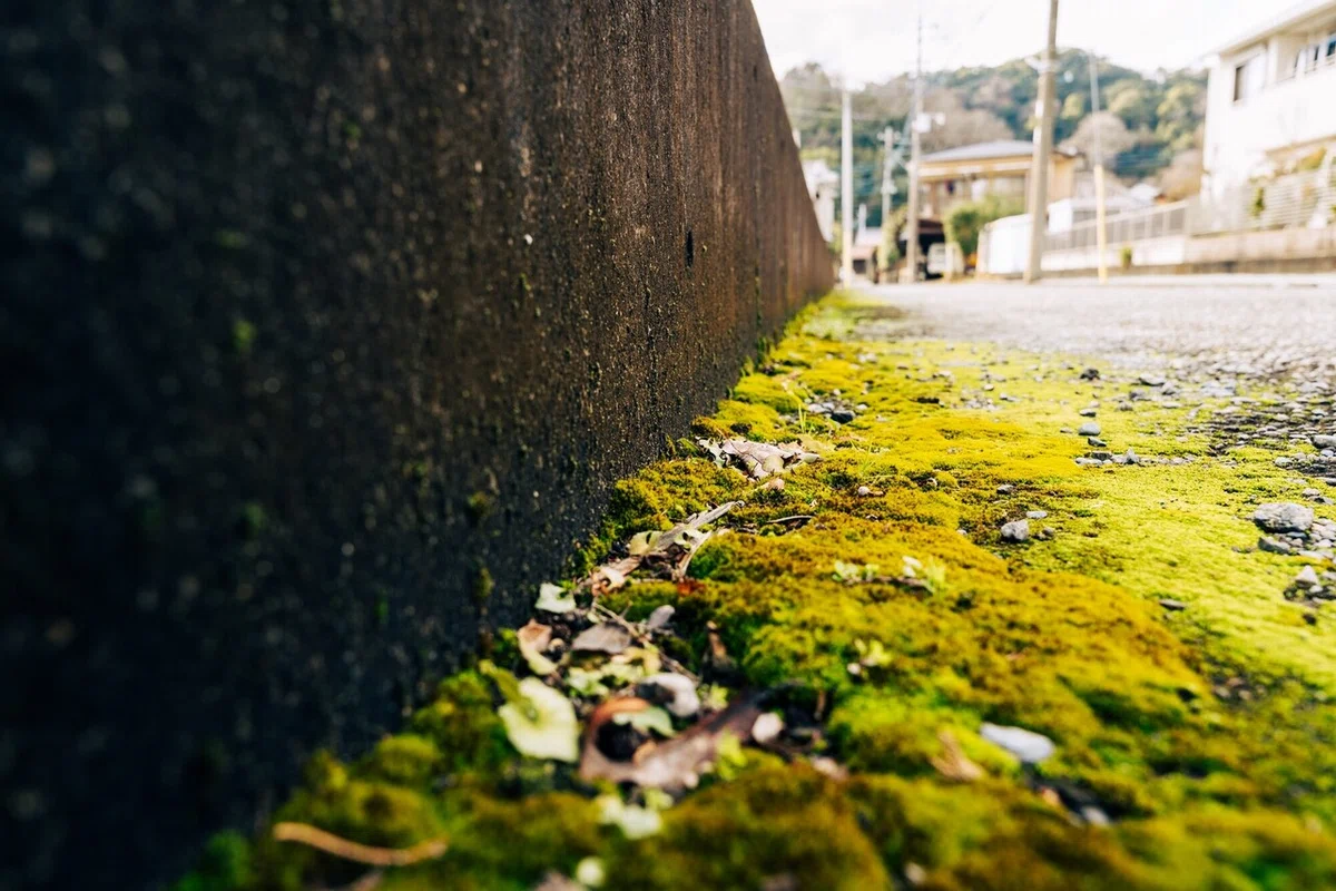 画像49
