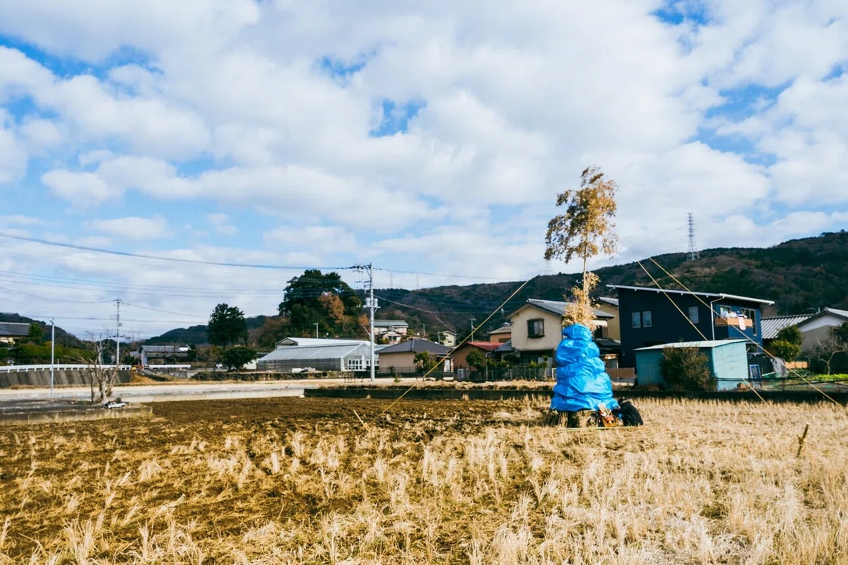 画像28