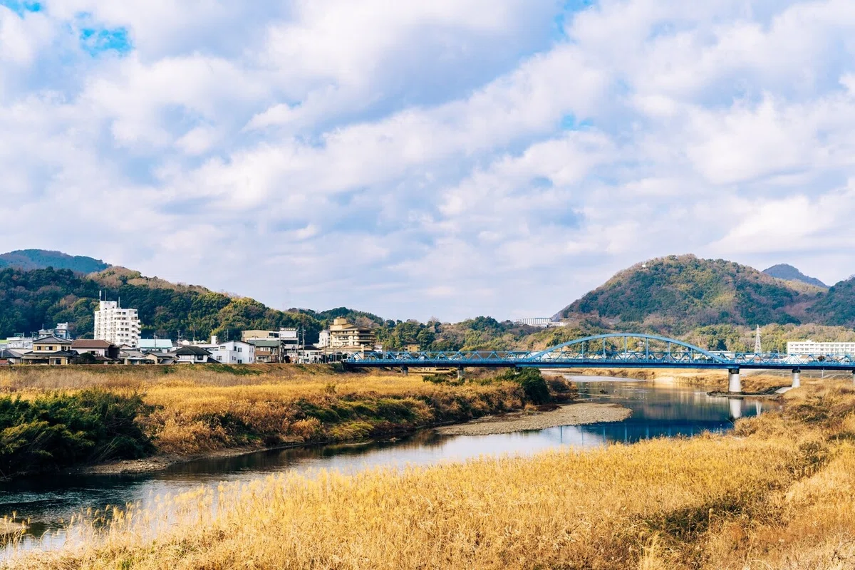 画像30