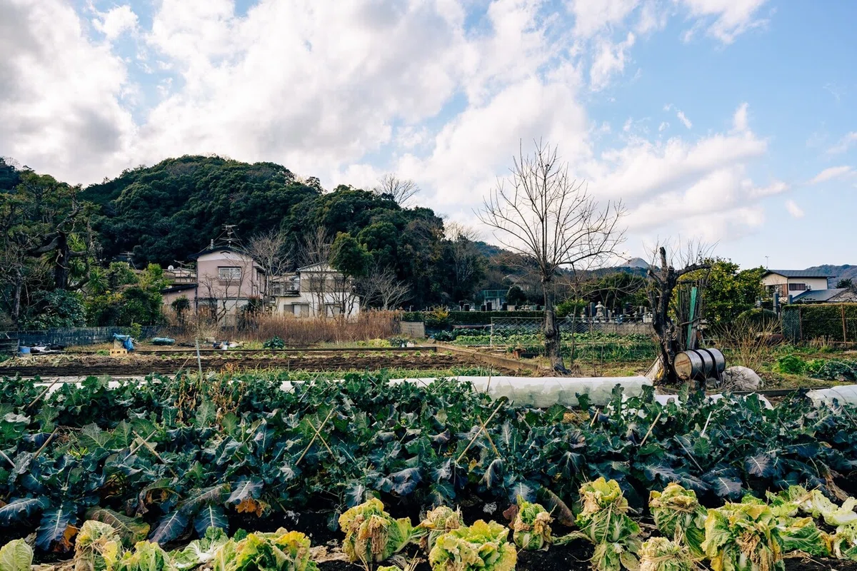 画像60