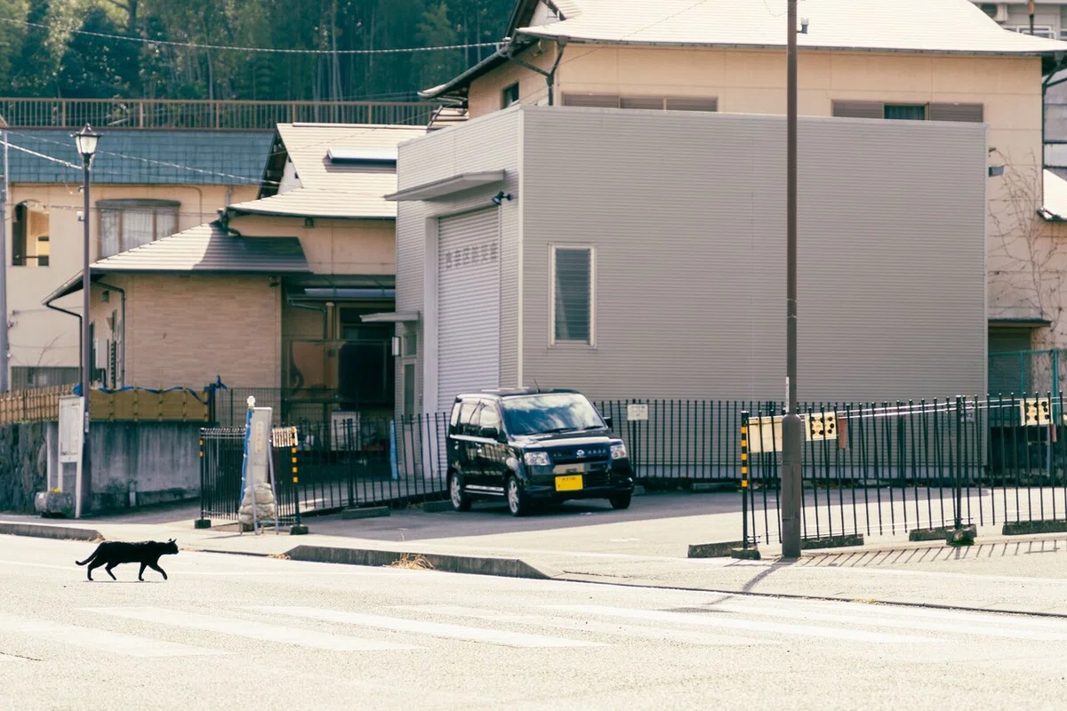 画像54