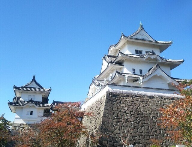画像6