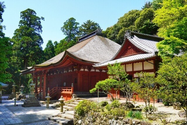 画像9