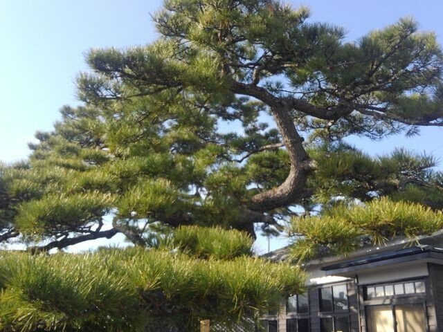 画像10