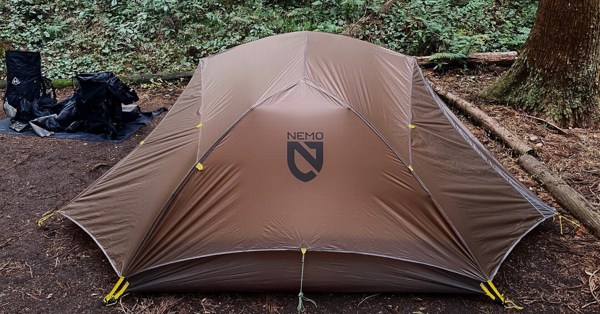 直販割引品 - 新品未使用 NEMO オーロラストーム2Pキャニオン - 総合