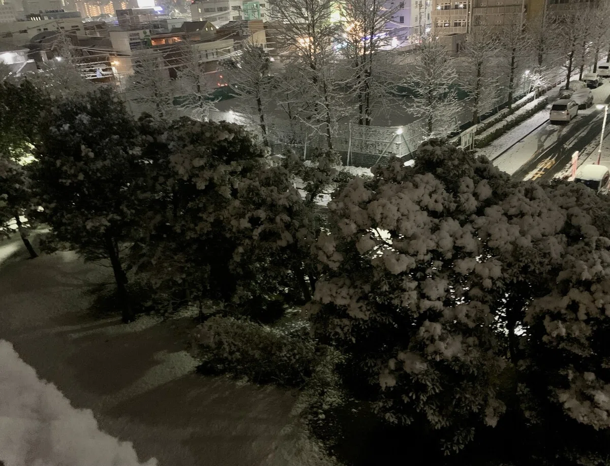 画像5