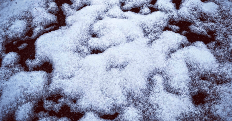 札幌の雪が目に浮かぶ小説ーミニ読書感想「雪の断章」（佐々木丸美さん）