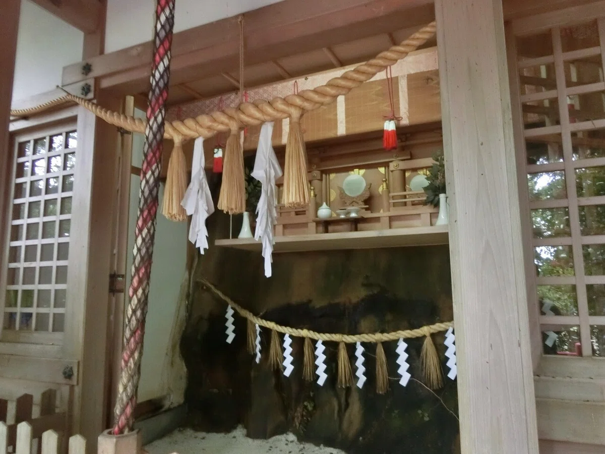 画像5
