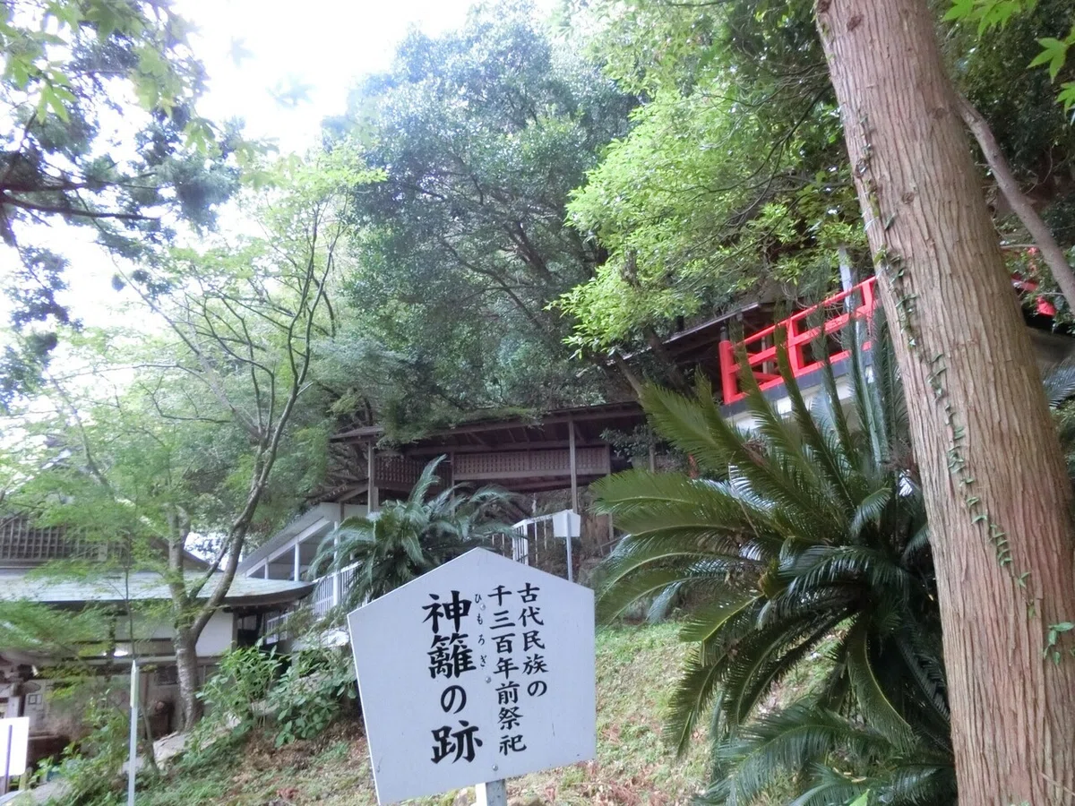 画像7