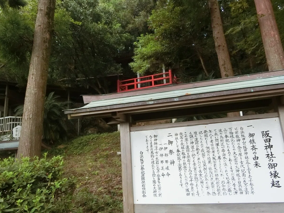 画像8