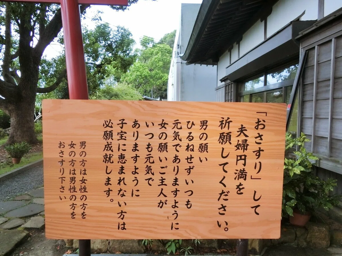 画像12