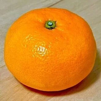 あらいみかん