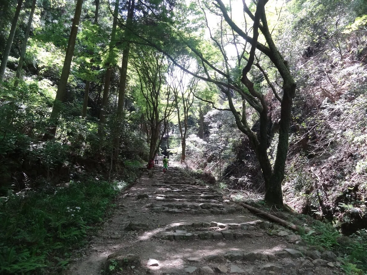 画像5