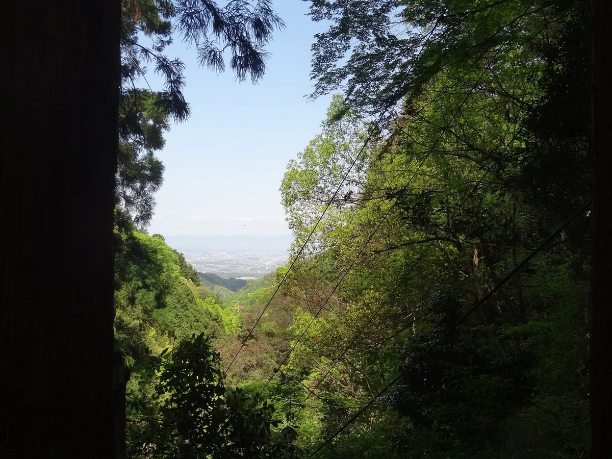 画像7