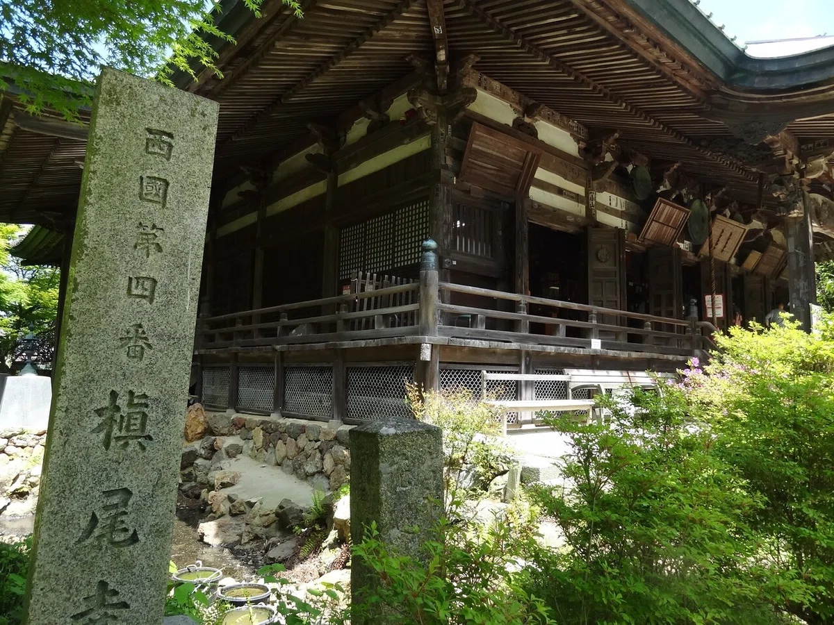 画像8