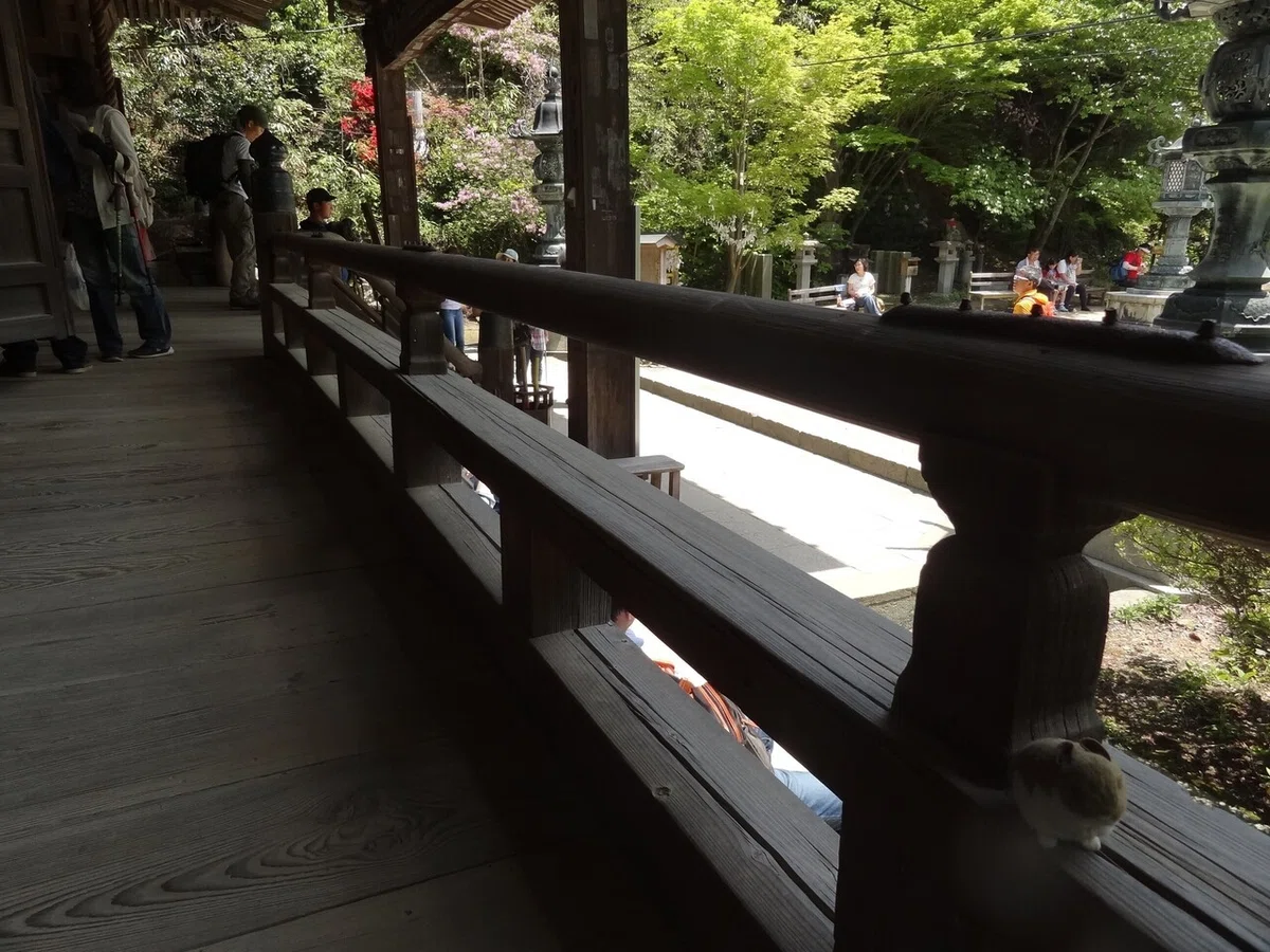 画像12