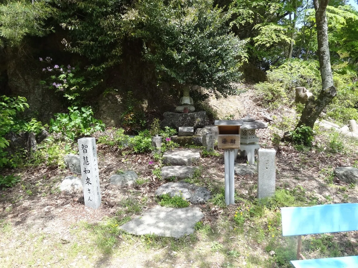 画像14
