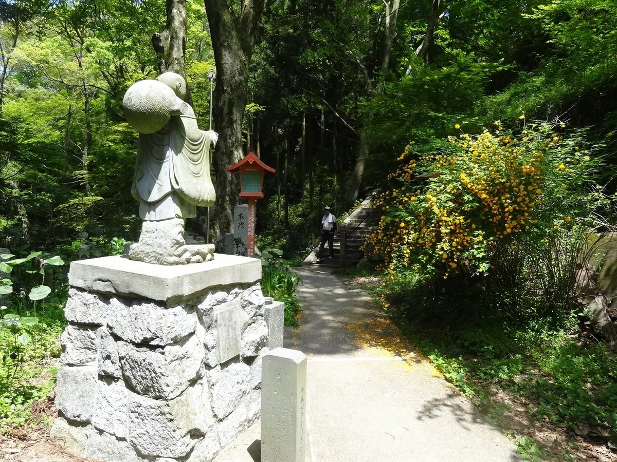 画像19