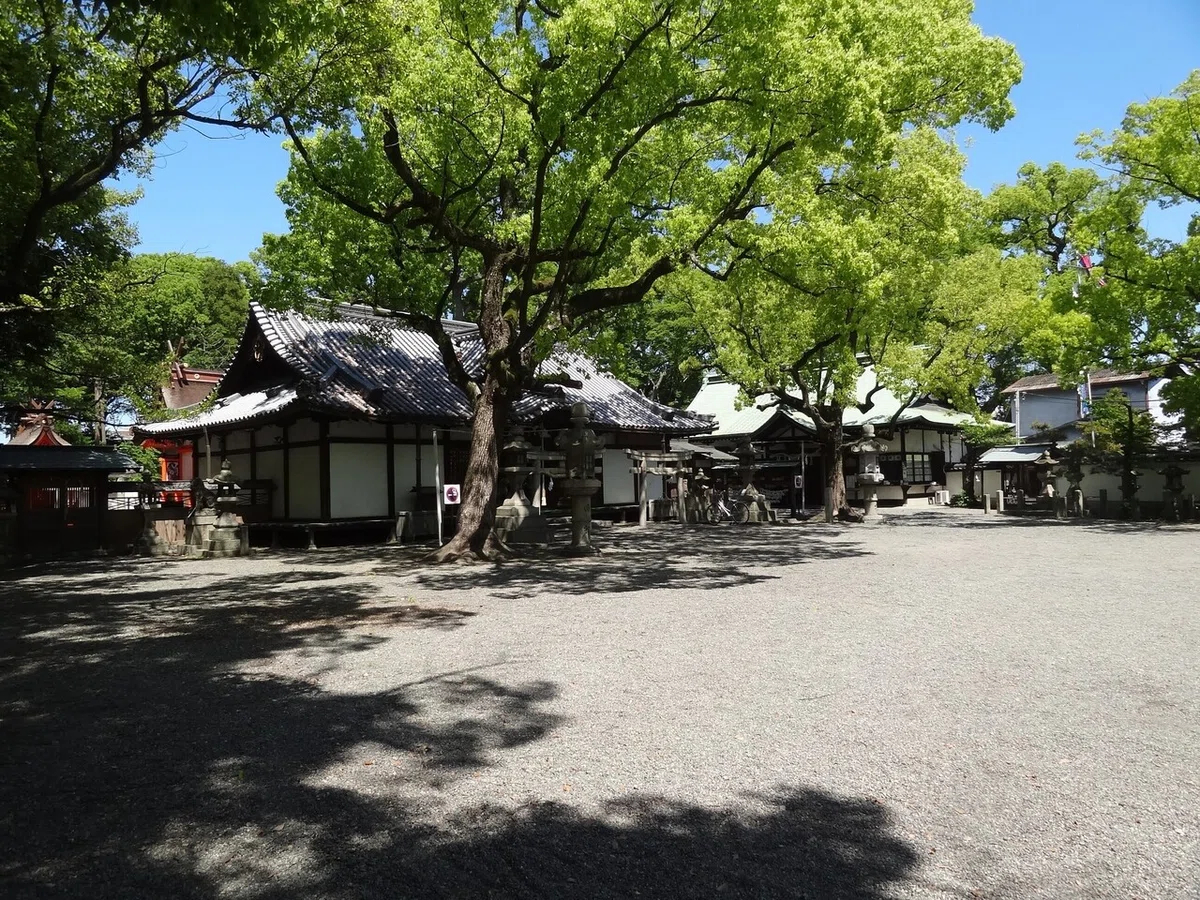画像5
