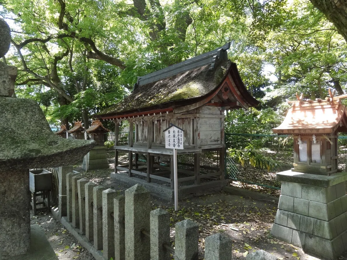 画像7